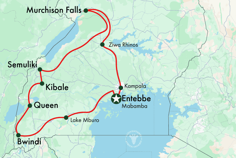 Kibale Forest, Semuliki Valley, and Queen Elizabeth Park Safari