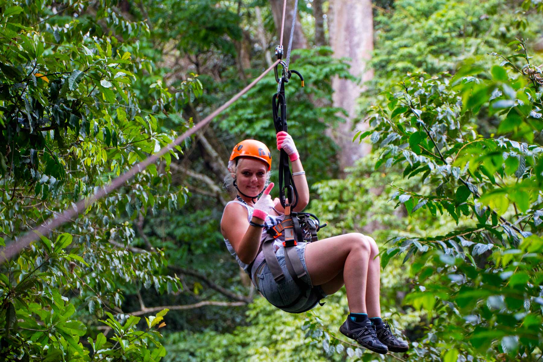 Thrilled tourist zip-lining high through the lush green canopy of Mabira Forest, enjoying a canopy adventure experience in Uganda.