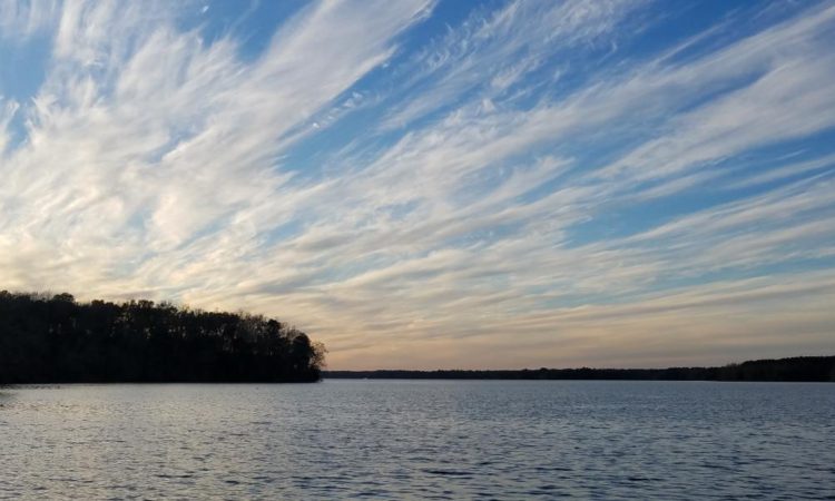 Calm waters of Lake Kyoga, Uganda, at sunset or sunrise, with a dense forest line and dramatic cirrus clouds above.