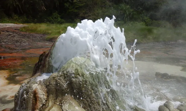 Intense steam rising from the Sempaya Female Hot Spring (Nyasimbi) in Semuliki National Park Uganda, where the water boils at over 100 ∘ C.