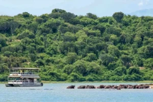 Boat Safari on Kazinga Channel