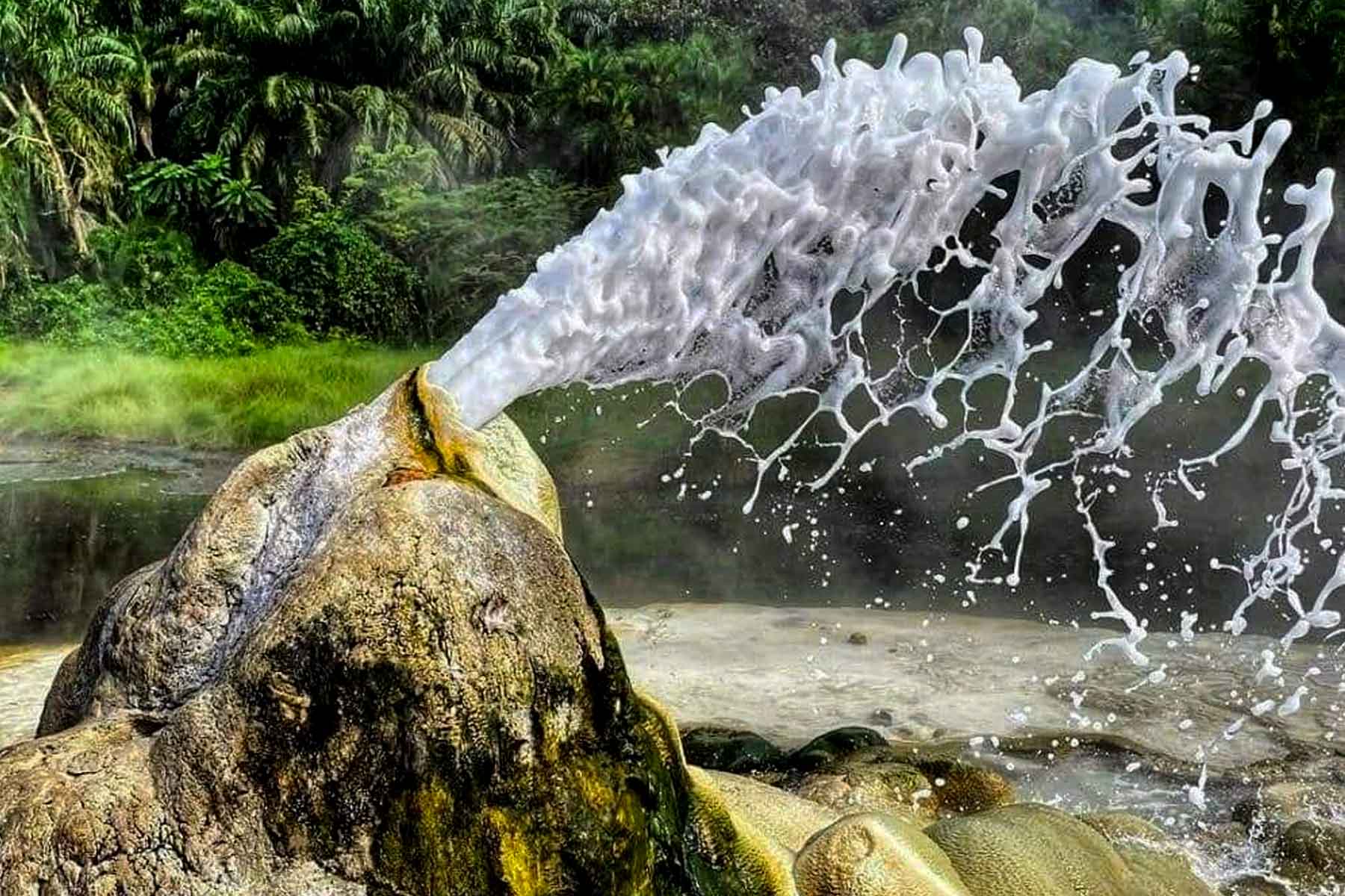 Powerful gush of boiling water from the Sempaya Hot Springs (Nyasimbi) in Semuliki National Park, Uganda.
