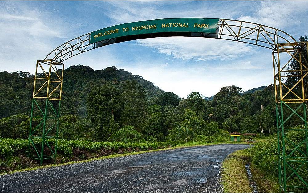 Location of Nyungwe Forest National Park