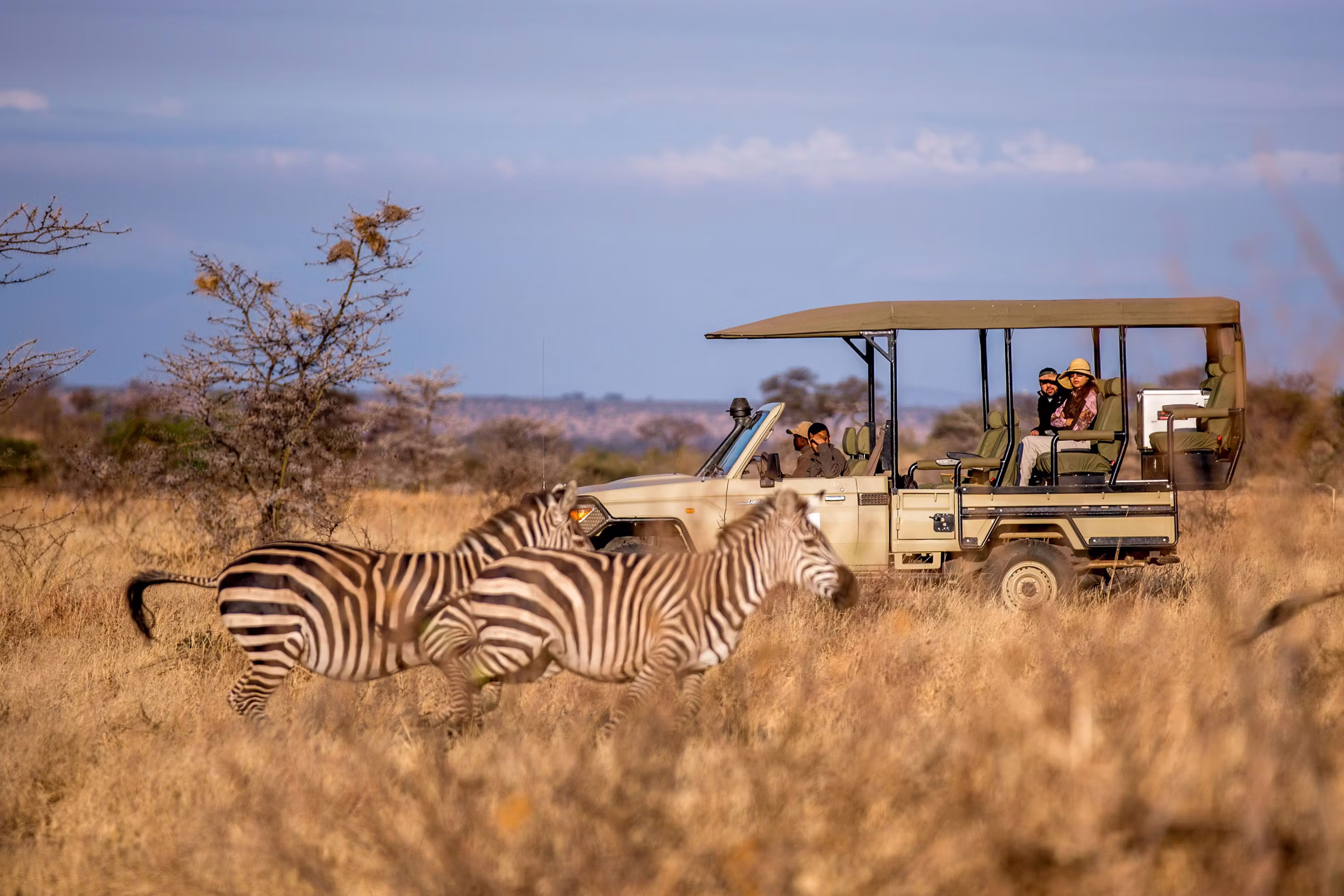 Tanzania Safari in Tarangire National Park 2026