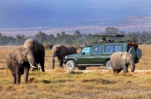 mount kenya national park game drive