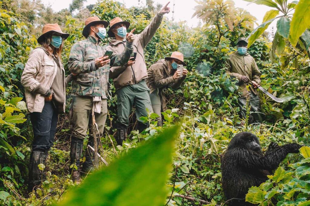 Bwindi gorilla trekking sector in Uganda