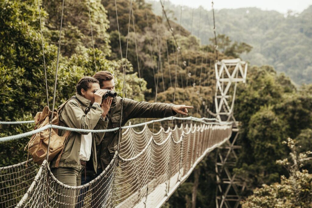 Nyungwe canopy walk experience in Rwanda