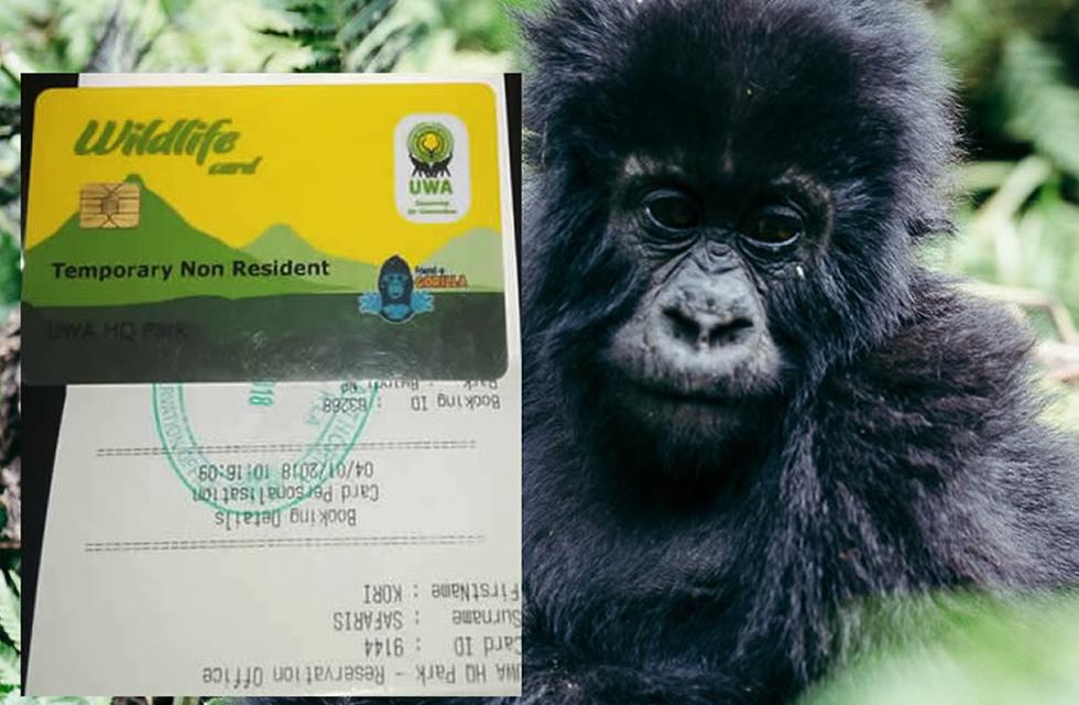Uganda gorilla permit reservation process