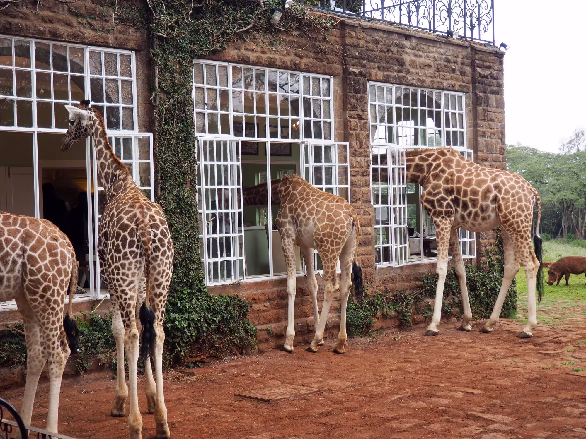 Giraffe Manor boutique hotel in Nairobi